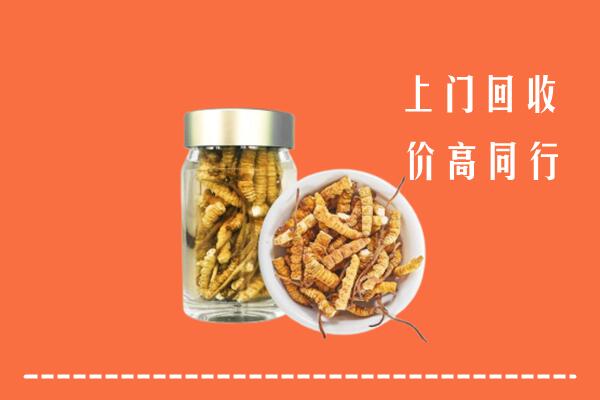 收购行情：文昌回收冬虫夏草