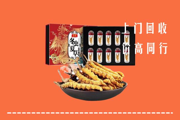 收购行情：文昌回收虫草